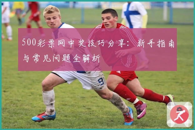 500彩票网中奖技巧分享：新手指南与常见问题全解析