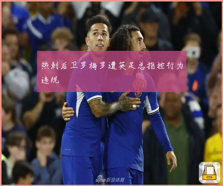热刺后卫罗梅罗遭英足总指控行为违规