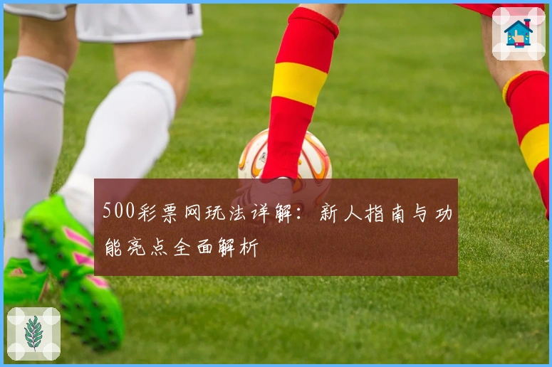 500彩票网玩法详解:新人指南与功能亮点全面解析
